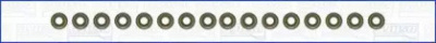 WILMINK GROUP wg1753797 -  